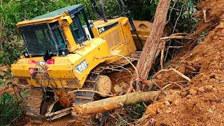 The Most Difficult Job Done by The Dozer - CAT D7R Break Down The Trees