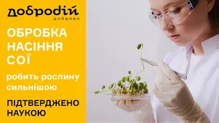 Яка обробка насіння сої буде найефективнішою?