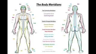 Introduction To Meridians