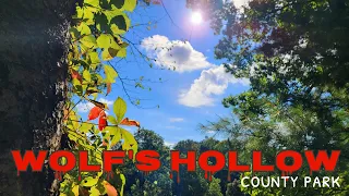 Hiking Wolf's Hollow: A Chester County Park 🥾🐺 #hiking #nature #outdoors