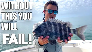 Jetty Fishing For Sheepshead With Live Shrimp Discover The Secrets to Catch More Fish!