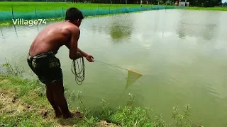 Best Cast Net fishing।Catching Lot of fish with cast net। Net fishing (part-208)