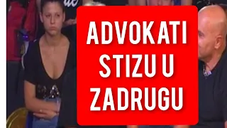 ADVOKATI STIZU U ZADRUGU - Sprema se TOTALNA LUDNICA