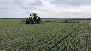 Claas Axion 850 + БПН-24 боронування озимої пшениці