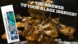 Can this be the answer to your algae issues? 🤷🏻‍♂️