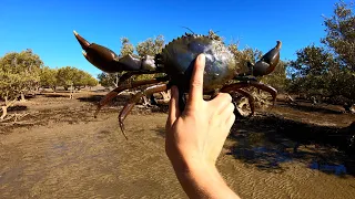 GIANT MUD CRAB!! Catch and Cook (CAMPFIRE COOK!!!) Ep.6