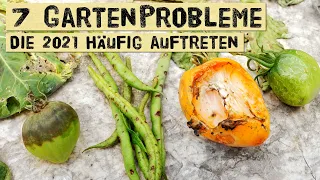 Hast du auch diese Probleme mit Krankheiten und Schädlingen in deinem Gemüsegarten?