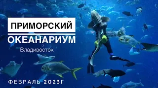 Приморский океанариум. Февраль 2023г.