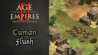 Aoe2 DE Campaign Achievements: Cuman Flush [Kotyan Khan 2. The Battle at the Kalka River]