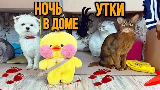 НОЧЬ В КАРТОННОМ ДОМЕ УТКИ ЛАЛАФАНФАН! МИСТИКА...