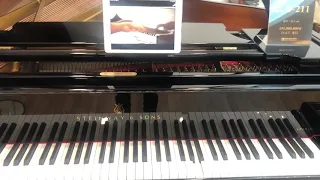 steinway piano automatic play