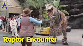 Meet a Raptor from Jurassic Park at Universal Studios Hollywood