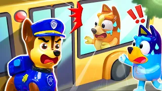 Police Labrador, Please Save Bingo 👀🚌 | Pretend Play with Bluey & Paw Patrol Toys