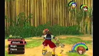 Kingdom Hearts: Stealth Chameleon Boss Battle (Part 28)