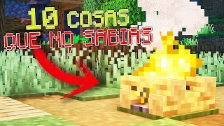 👉 10 *CURIOSIDADES* que NO SABIAS sobre la HOGUERA 🔥 MINECRAFT 1.14