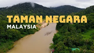 TAMAN NEGARA, Malaysia: Jungle Trek & CANOPY WALK + Elephants and Waterfalls