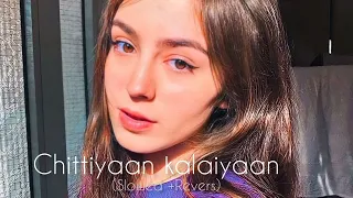 Chittiyaan Kalaiyaan Lyrics from Roy (2015) sung by Kanika Kapoor.