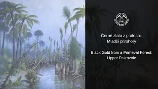 Černé zlato z pralesa: Mladší prvohory/ Black Gold from a Primeval Forest: Upper Paleozoic