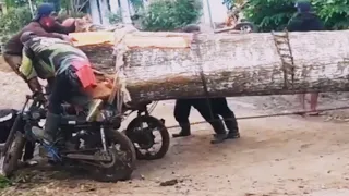 Amazing Video Transport Wood By Motorbike