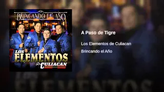 A Paso de Tigre - Los Elementos De Culiacan (2015)