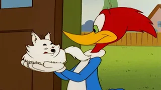 El Pájaro Loco | Woody es la niñera de un perro + Más Episodios Completos