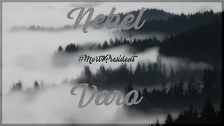 Nebel-Varo #04 • 𝑴𝒊𝒕 𝑭𝒖𝒍𝒍-𝑫𝒊𝒂 𝒛𝒖𝒓ü𝒄𝒌 𝒂𝒏 𝒅𝒊𝒆 𝑶𝒃𝒆𝒓𝒇𝒍ä𝒄𝒉𝒆! ✘ #Mort4President