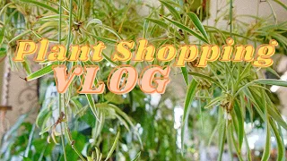 Rare Houseplant Shopping Vlog & Trading Houseplants!