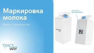 Нанесение DataMatrix на Tetra Pak / Pure Pak