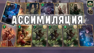 GWENT | НОВАЯ АССИМИЛЯЦИЯ (ДВОЙНАЯ ИГРА) — гайд | Гвинт Патч 11.8