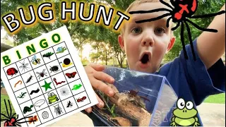 BINGO BUG HUNT for Kids!! KATYDID, Spiders, FIRE ANTS, Toads, LIZARD, Beetles, MOTH, Snails & MORE!!