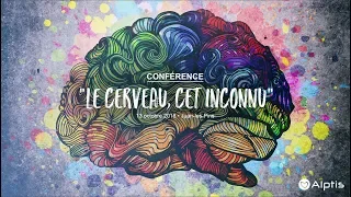 A la découverte du cerveau, cet inconnu