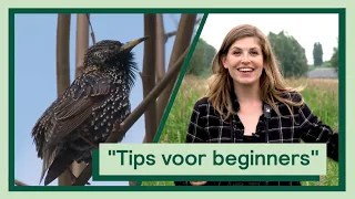 Tips voor de beginnende vogelaar | Uitvogelen met Camilla
