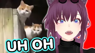 This Is The Wrong Neighborhood! | Saeko Reacts To Unusual Memes V257