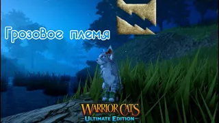 Информация о Грозовом племени⚡️| Warriors cats: ultimate edition | Коты-воители