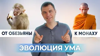 Как медитация влияет на человека? Как медитация меняет жизнь?