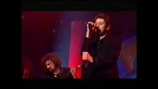 Shane MacGowan - Angel Of Death