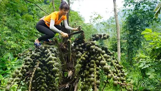 Harvesting forest fruits go to the village to sell - Cook forest fruit and take care of puppies