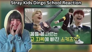 STRAY KIDS DINGO SCHOOL AEYGO IS CRINGING ME OUT