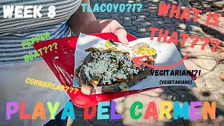 What is the BEST Street Food in Mexico??? - Week 8 Playa Del Carmen/Cancun Mexico