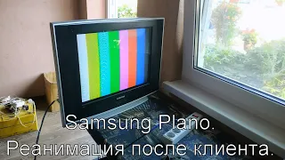 Ремонт Samsung Plano, шасси S16C. Нет изображения и звука. Телевизор сверчит.