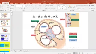 Patologia Renal