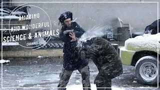 A Snowball Fight Filmed In 1896