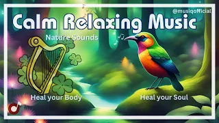 Relaxing Music: Calm Music, Meditation, Focus Music, Work Music, Ambience, sleep music, inner peace