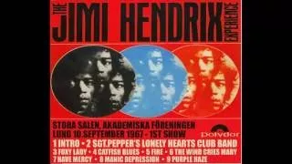 Jimi Hendrix at Gröna Lund 1968 (in Swedish)