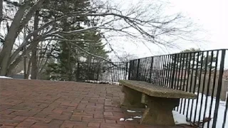 Using ghost meter at Youngs Memorial Cemetery