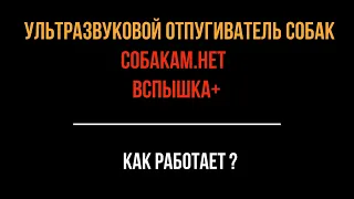 Отпугиватель собак Собакам нет Вспышка+. Как работает?