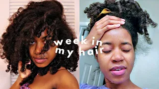 WEEK IN MY HAIR: Maintaining Roller Set, Blow Out to Curly Transformation, Filming Behind the Scenes