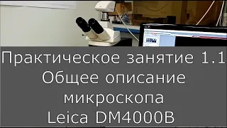 Оптическая Микроскопия. Практика 1.1.