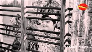 Full Kannada Movie 1974 | Nanu Balabeku | Srinath, Udaya Kumar, Arathi.