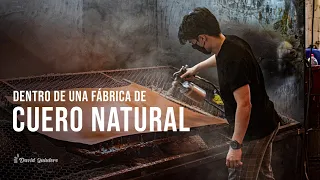 La industria del CUERO NATURAL en Colombia | ¿QUÉ ES UNA CURTIMBRE? | Dav Quintero